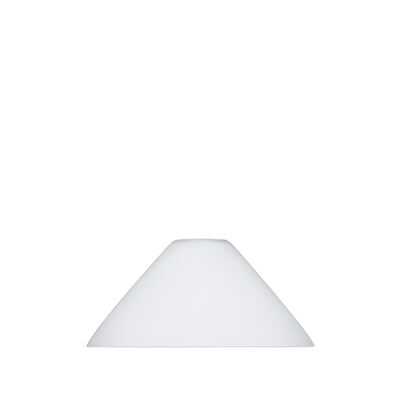 Spot Lamp Leuchtenschirm